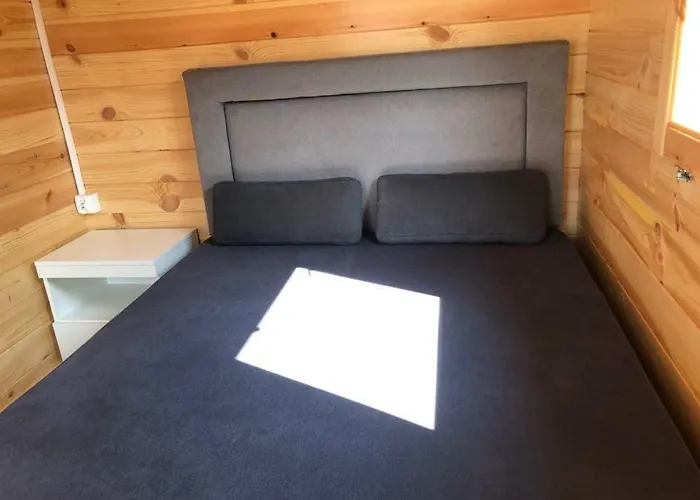 Letniskowe Oses Stegna